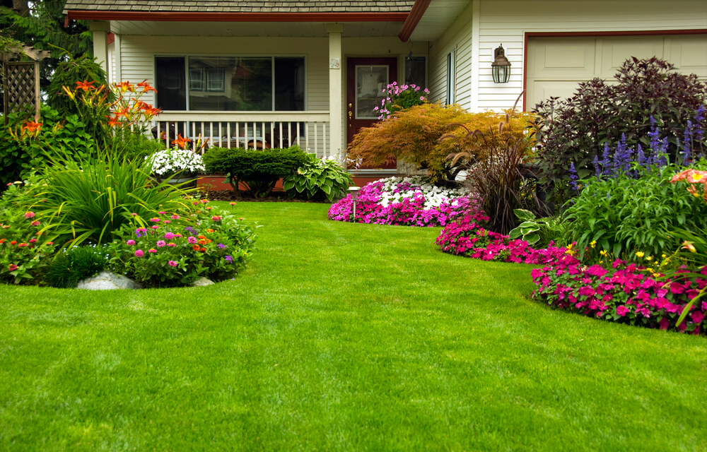 Ideias de jardinagem para decorar sua casa