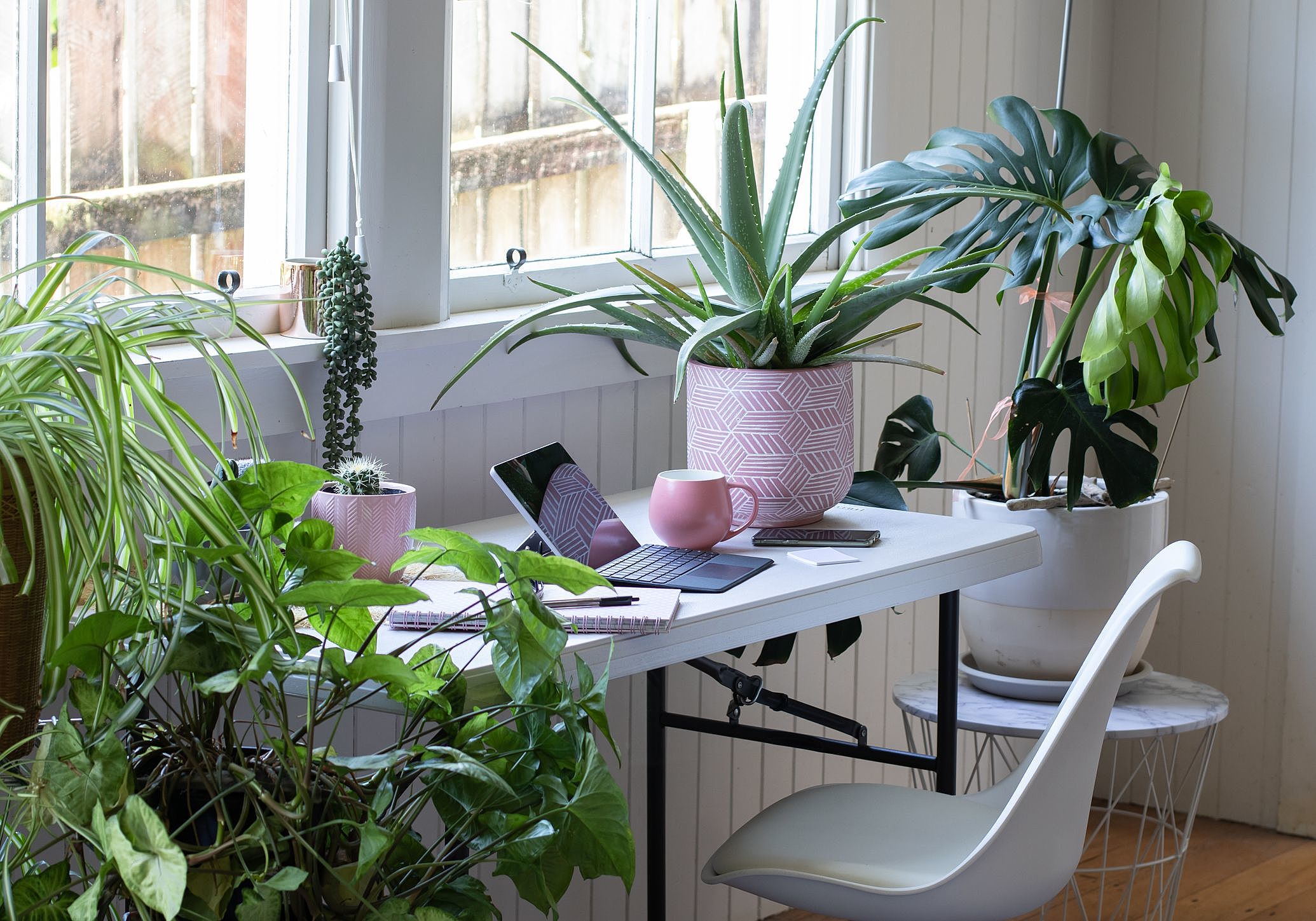 Decoração com plantas: como montar uma urban jungle?